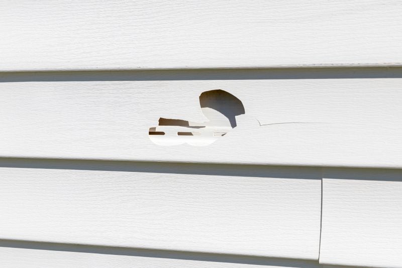 Siding Repair Services